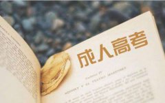 广东成考本科学历能出国留学吗?