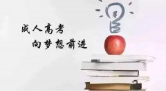 广东省2020年成人高考网上报名细节你知道吗?