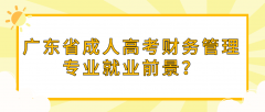 广东省成人高考财务管理专业就业前景？